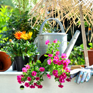 Garten & Heimwerk Großhandel
