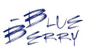 Firmenlogo Blue-Berry GmbH