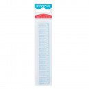 ruler plastic 15cm tabl multiply small bag with a 