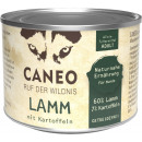 petcura caneo lamb + carton times assorted 200g ca