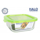 quadratic lunch box with ve halo lid
