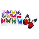 Dekoratív pillangó 3d mágnes 12 cm mix szín - 1 db