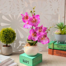 nagyker Otthon és dekoráció: Két szárú orchidea művirág cserépben 25