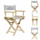 child director chair grey