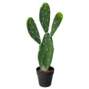 cactus h60, negro