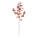 eucalyptus stengel roos h92, roze blush