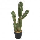 cactus pino h120, verde