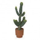 maceta de cactus terra ali h49, terracota