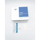 JOYSBIO spit test SARS-CoV-2 test dell'antigen