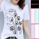 Großhandel Fashion & Accessoires: Damenbluse 2-4XL, Shirt, Free Soul, 8268