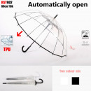 Paraplu Transparant luxe Automatisch