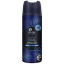 wholesale Drugstore & Beauty: Today deospray for men cool, 200ml can