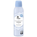 wholesale Drugstore & Beauty: Today deospray fresh, 200ml can