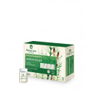 HERBAL CARE Treatment ampoules hair horsetail