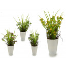 conical flower pot white flowers, 4 times assorted