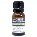Eukalyptus Bio Ätherisches Öl 10ml