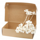 Természetes diffúzor virág - liliom a nádon (doboz
