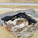 Pillitaps pipistrello Batty nero, 7x20cm