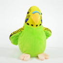 wholesale Pet supplies: Laber budgerigars, green, chatter everything, in