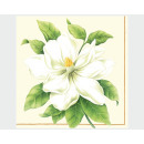 Premium napkins 'Hibiscus blossom' 20 cm 3