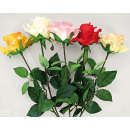 groothandel Overigen: Rose open bloem 68cm extra lang, 5 kleuren sortie