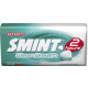 smint 2 hours intense mint 35g can