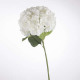 hydrangea stem white h83, white
