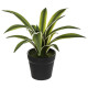 agave real touch pot h18, groen
