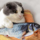 FLIPPITYFISH: Fischspielzeug für bewegliche Katzen