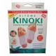 Kinoki natural wellness patches