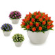 sadzić kwiaty spiczaste, kolory 4 razy mieszany