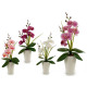 orchid white conical pot 37cm assorted 4cl