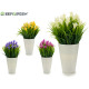pot white flower bell flower, 4 times assorted col