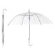 transparent white children's umbrella