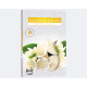 Tealight fragrance 6er jasmine flower in carton