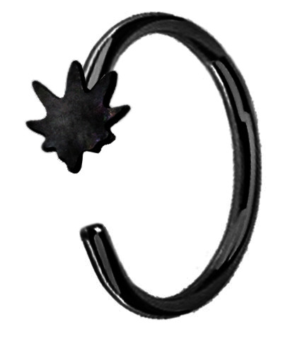  Nose Ring Fake Nose clip, PVD, Journal 