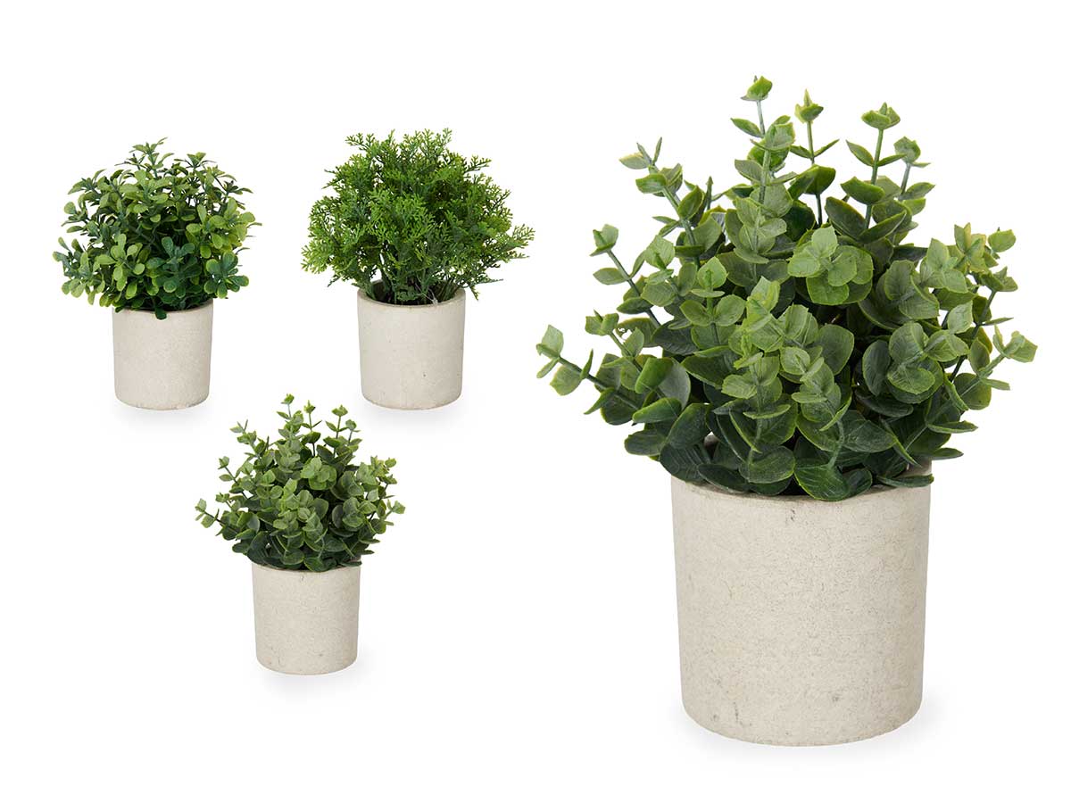  pot de ciment fleurs vertes, 4 fois assorti