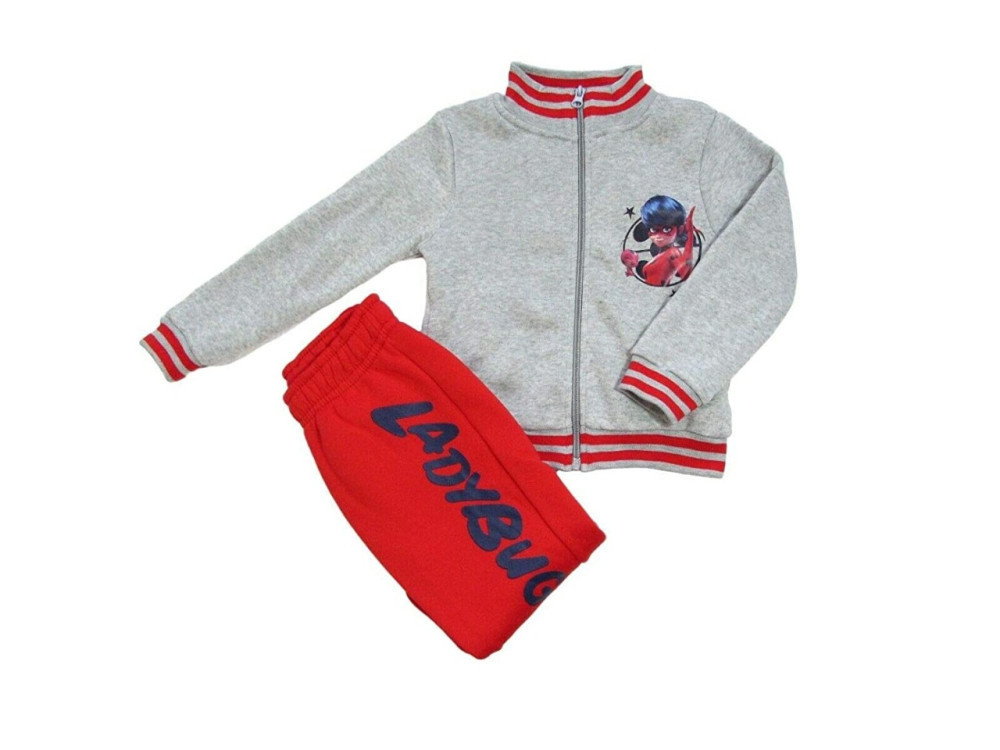  Die Abenteuer von Ladybug und Cat Noir Mission