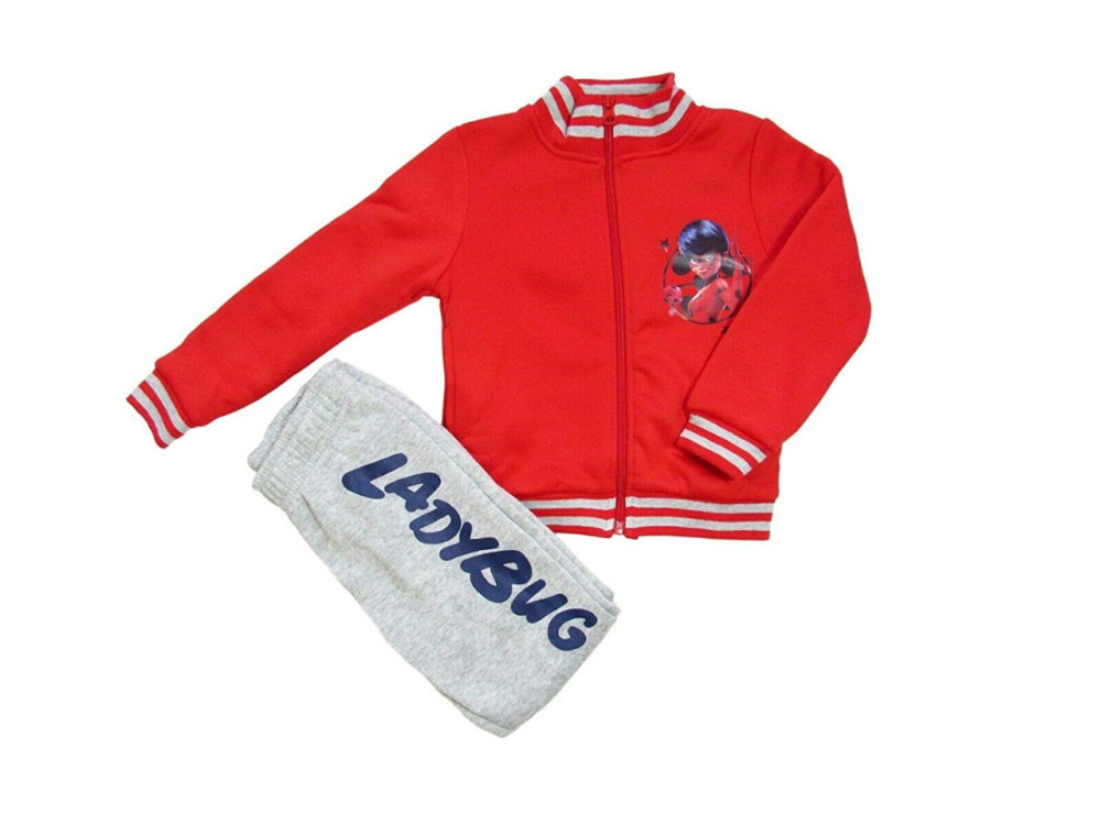  Die Abenteuer von Ladybug und Cat Noir – Mission R