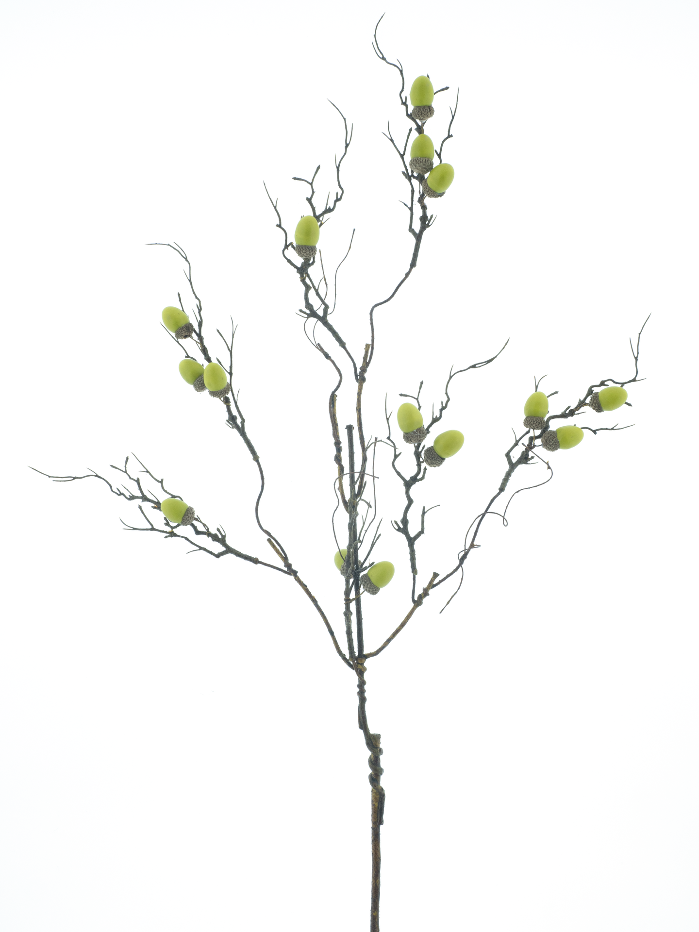  Branche de gland verte de 88 cm