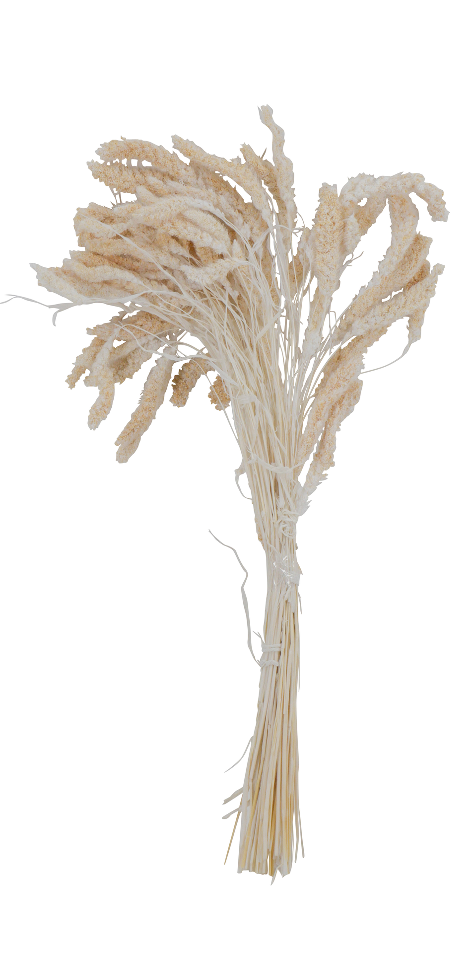 Setaria 120g white