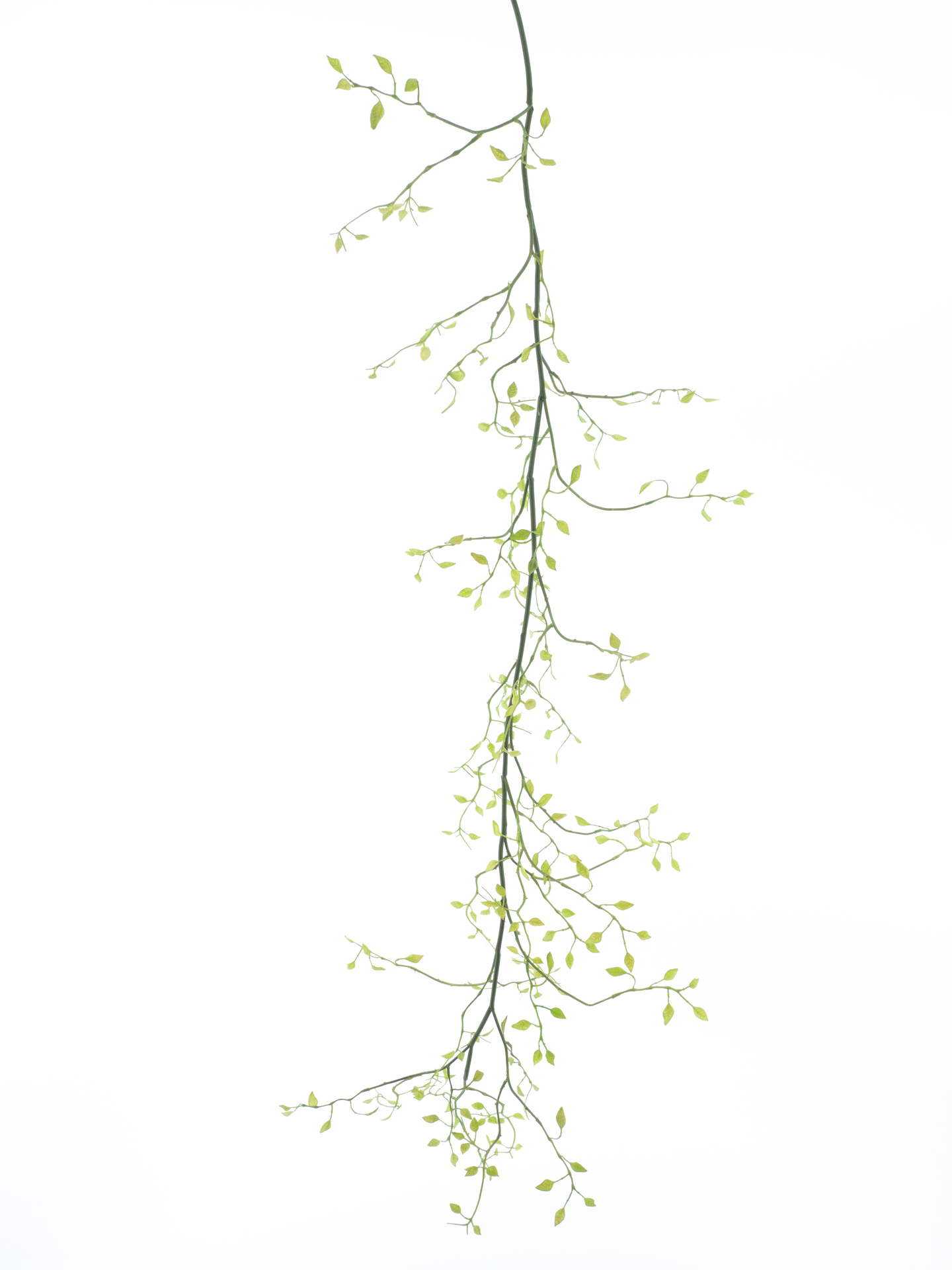  Lonicera Girlande 140cm grün