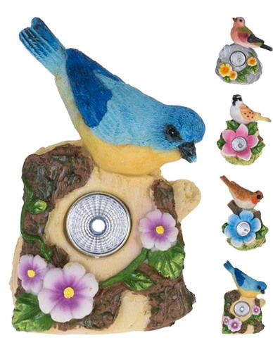  Ptaki słoneczne - 252120700